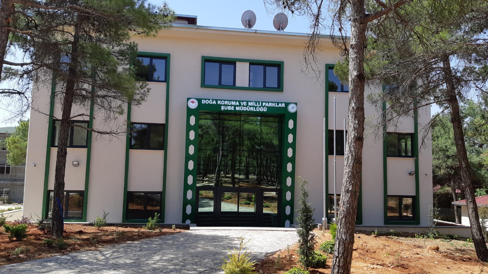 WhatsApp Image 2022-06-01 at 11.43.32.jpeg