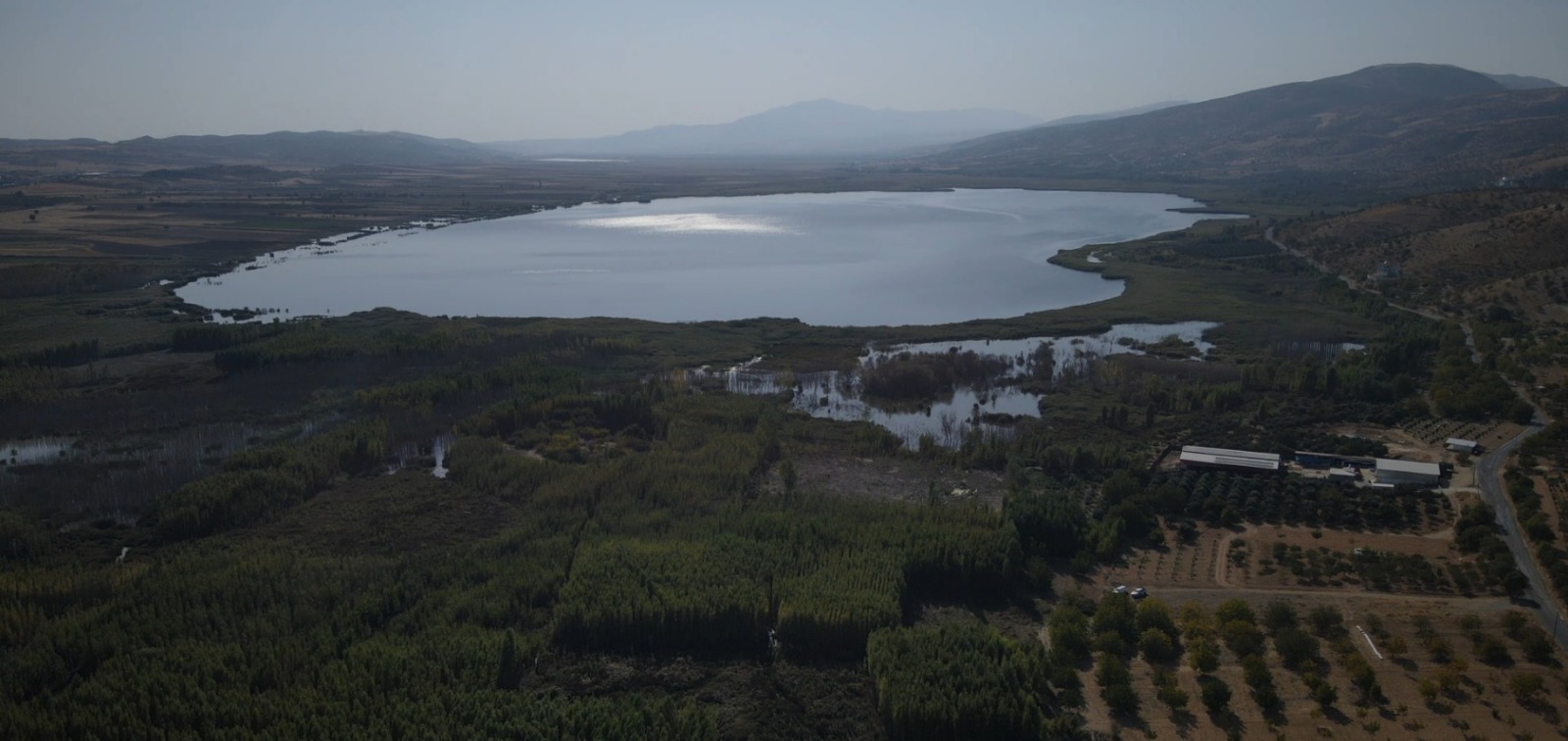 WhatsApp Image 2025-08-12 at 16.12.01.jpeg