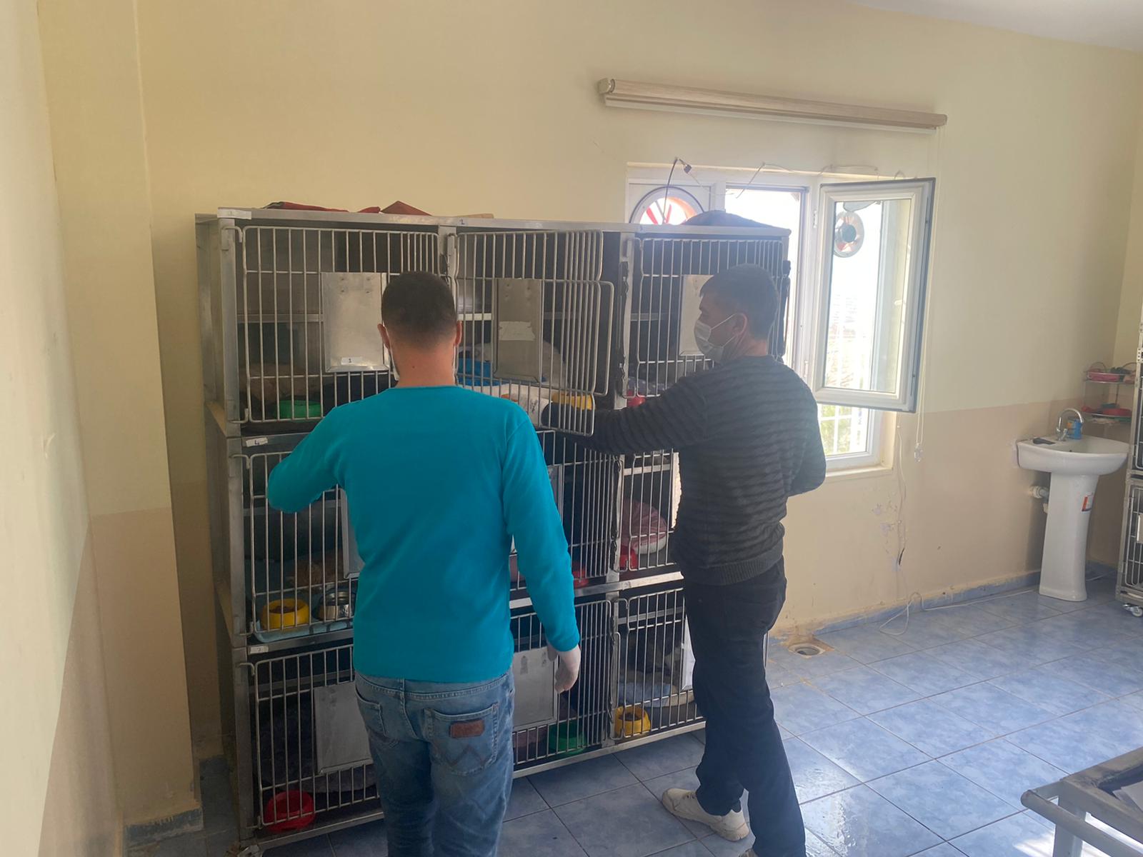 WhatsApp Image 2021-11-15 at 14.40.41 (1).jpeg