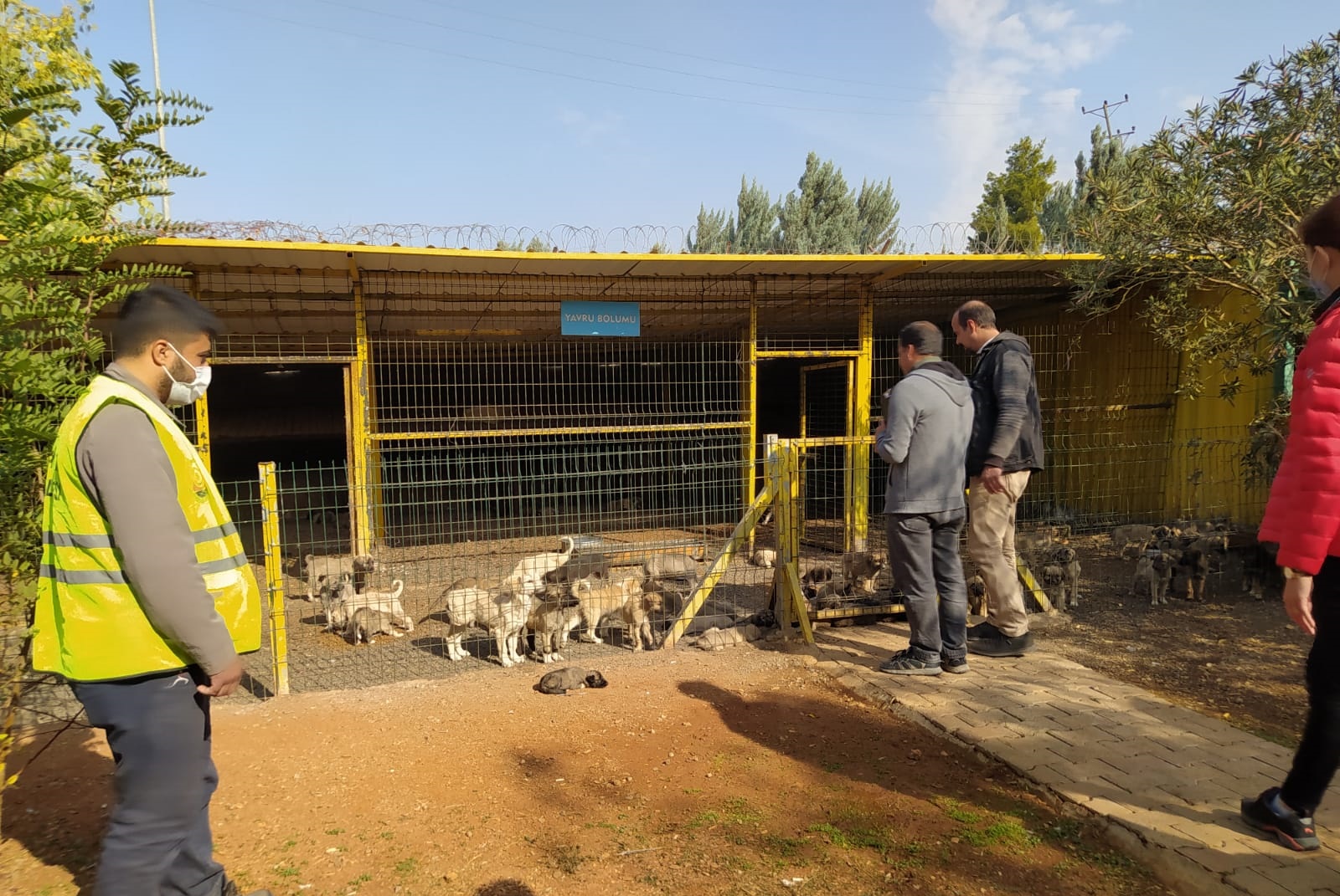 hayvanbarinagidenetimi15112021.jpeg